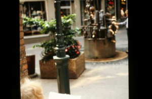 IMG 7598