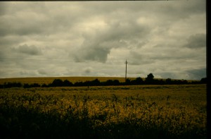 IMG 8016