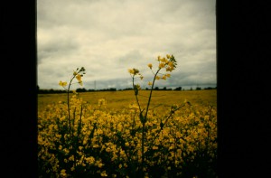 IMG 8017