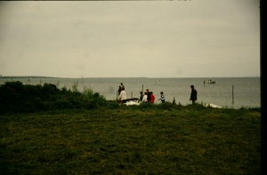 IMG 8029