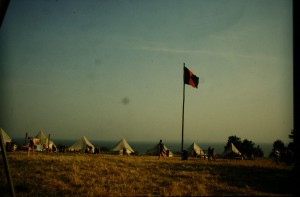 IMG 8100
