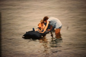 Image00459