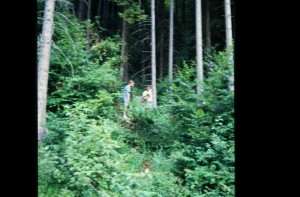 IMG 5973