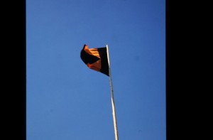 IMG 5985