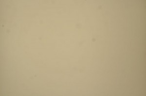 IMG 5998