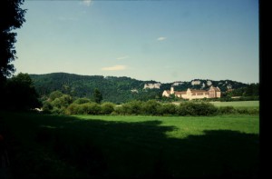 IMG 6003